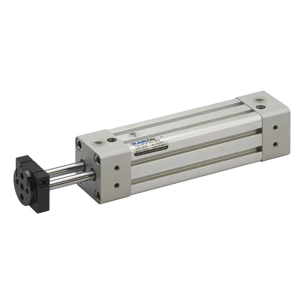 Twin piston rod cylinders